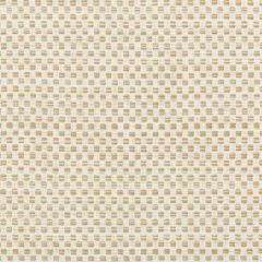 Kravet Design 36090-16 Inside Out Performance Fabrics Collection Upholstery Fabric