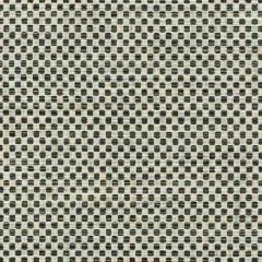 Kravet Design 36090-21 Inside Out Performance Fabrics Collection Upholstery Fabric
