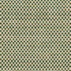 Kravet Design 36090-313 Inside Out Performance Fabrics Collection Upholstery Fabric