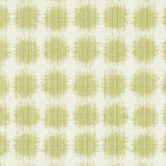 Duralee DI61377 Peridot 579 Indoor Upholstery Fabric