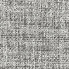 Kravet Couture Tailored Plaid Grey 36099-11 Luxury Textures II Collection Indoor Upholstery Fabric