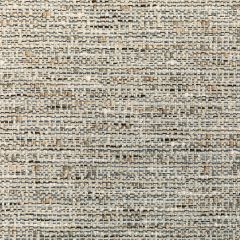 Kravet Couture Naturalist Pewter 36104-1621 Luxury Textures II Collection Indoor Upholstery Fabric