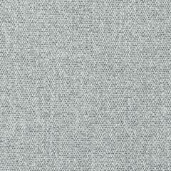 Kravet Couture Saumur Platinum 36107-11 Luxury Textures II Collection Indoor Upholstery Fabric