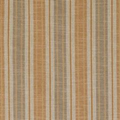 Duralee Dj61408 333-Harvest 361125 Carousel All Purpose Collection Indoor Upholstery Fabric
