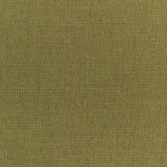 Kravet Smart  36112-34 Performance Kravetarmor Collection Indoor Upholstery Fabric
