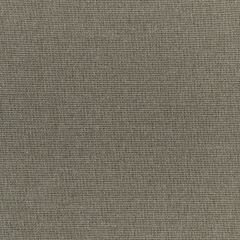 Kravet Smart  36112-611 Performance Kravetarmor Collection Indoor Upholstery Fabric