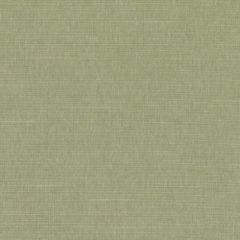 Duralee Dk61161 597-Grass 361557 Indoor Upholstery Fabric