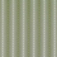 Duralee DI61593 Celery 533 Indoor Upholstery Fabric
