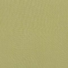 Threads Meridian Linen Celery ED85281-761 Meridian Collection Multipurpose Fabric