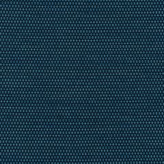 Kravet Contract Mobilize Neptune 36256-50 Supreen Collection Indoor Upholstery Fabric
