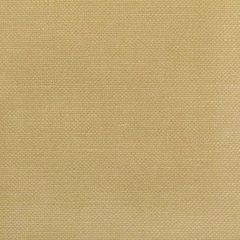Kravet Basics Carson Pecan 36282-1416 Indoor Upholstery Fabric
