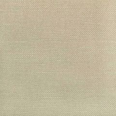 Kravet Basics Carson Taupe 36282-1611 Indoor Upholstery Fabric