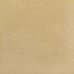Kravet Basics Carson Tussah 36282-1614 Indoor Upholstery Fabric