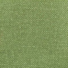 Kravet Basics Carson Frog 36282-314 Indoor Upholstery Fabric