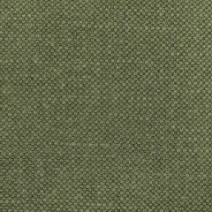 Kravet Basics Carson Pine 36282-323 Indoor Upholstery Fabric