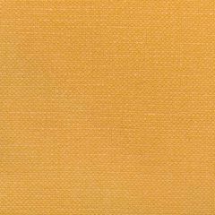 Kravet Basics Carson Honey 36282-4 Indoor Upholstery Fabric