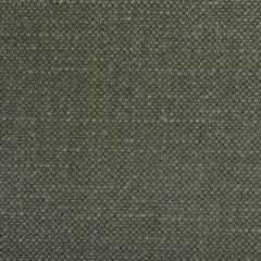 Kravet Basics Carson Dolphin 36282-811 Indoor Upholstery Fabric