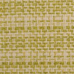 Suburban 71041 320-Leaf 362843 Indoor Upholstery Fabric