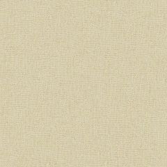 Kravet Basics Beige 33773-11 Perfect Plains Collection Multipurpose Fabric