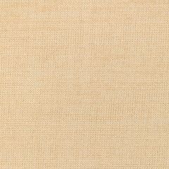 Kravet Smart  36302-116 Performance Crypton Home Collection Indoor Upholstery Fabric