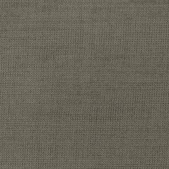 Kravet Smart  36302-21 Performance Crypton Home Collection Indoor Upholstery Fabric