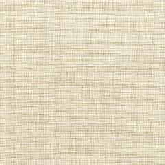 Kravet Smart  36303-1 Performance Crypton Home Collection Indoor Upholstery Fabric