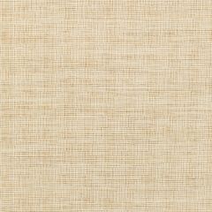 Kravet Smart  36303-16 Performance Crypton Home Collection Indoor Upholstery Fabric