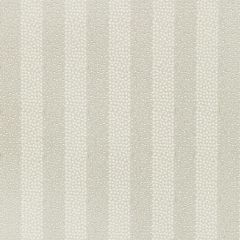 Kravet Couture Proximity Platinum 36341-11 Modern Luxe III Collection Indoor Upholstery Fabric