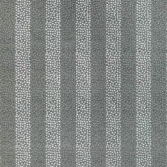 Kravet Couture Proximity Pewter 36341-21 Modern Luxe III Collection Indoor Upholstery Fabric