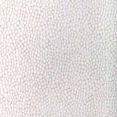 Kravet Couture Starfall Ivory Silver 36349-101 Modern Luxe III Collection Indoor Upholstery Fabric