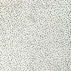 Kravet Couture Lynx Chenille Chambray 36370-1516 Corey Damen Jenkins Trad Nouveau Collection Indoor Upholstery Fabric