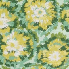 Suburban 72110 243-Honey Dew 363959 Urban Oasis Wovens & Prints Collection Indoor Upholstery Fabric