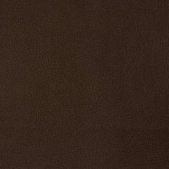 Kravet Smart Brown Newt 66 Indoor Upholstery Fabric