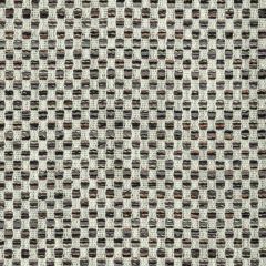 Kravet Design  36410-86 Performance Crypton Home Collection Indoor Upholstery Fabric