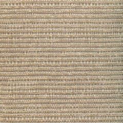 Kravet Design  36417-1611 Performance Crypton Home Collection Indoor Upholstery Fabric