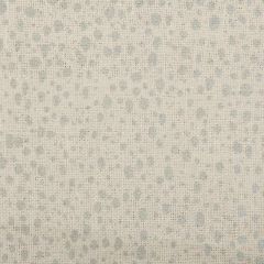 Robert Allen 64002LD Silver 2 Indoor Upholstery Fabric