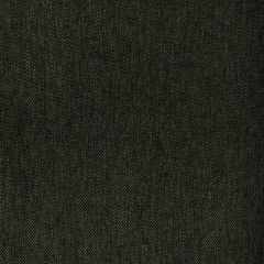 Kravet Basics  36541-52 Indoor Upholstery Fabric