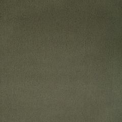 Kravet Contract Fomo Fennel 36543-130 Indoor Upholstery Fabric