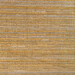 Kravet Contract Reclaim Citrine 36566-4 Seaqual Collection Indoor Upholstery Fabric