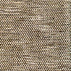 Kravet Basics  36587-816 Multipurpose Fabric