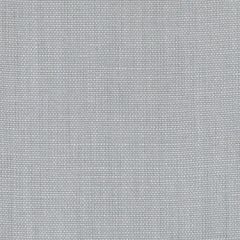 Duralee Dk61430 248-Silver 366593 Indoor Upholstery Fabric