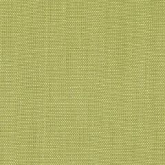 Duralee Dk61430 320-Leaf 366607 Indoor Upholstery Fabric
