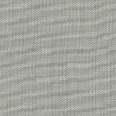 Duralee DK61430 Platinum 562 Indoor Upholstery Fabric
