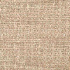 Robert Allen Tweed Chenille Sandstone 246853 Tweedy Textures Collection Indoor Upholstery Fabric