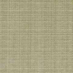 Duralee DK61422 Shamrock 211 Indoor Upholstery Fabric