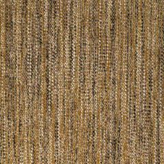 Kravet Contract Delfino Amber 36748-6 Refined Textures Performance Crypton Collection Indoor Upholstery Fabric