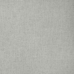 Kravet Basics Twinkle Twinkle Silver 36756-11 by Candice Olson Indoor Upholstery Fabric