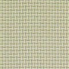 Duralee 71093 2-Green 367834 Urban Oasis Wovens & Prints Collection Indoor Upholstery Fabric