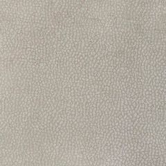 Kravet Design Pebble Chenille Putty 36812-11 by Candice Olson Indoor Upholstery Fabric