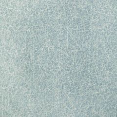 Kravet Design Pick Up Sticks Spa 36813-13 by Candice Olson Indoor Upholstery Fabric